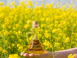 تصویر 1 از قیمت خرید روغن ارده کنجد 800 گرمی + فروش ویژه